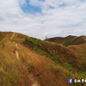蛇嶺 鐵坑山
