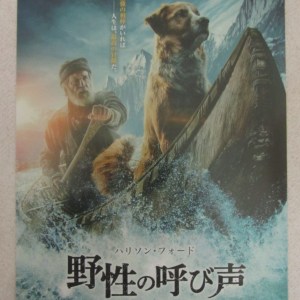 極地守護犬 電影海報