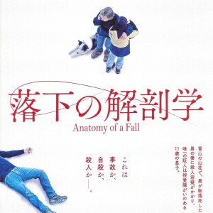 墮下的對證 日本電影海報