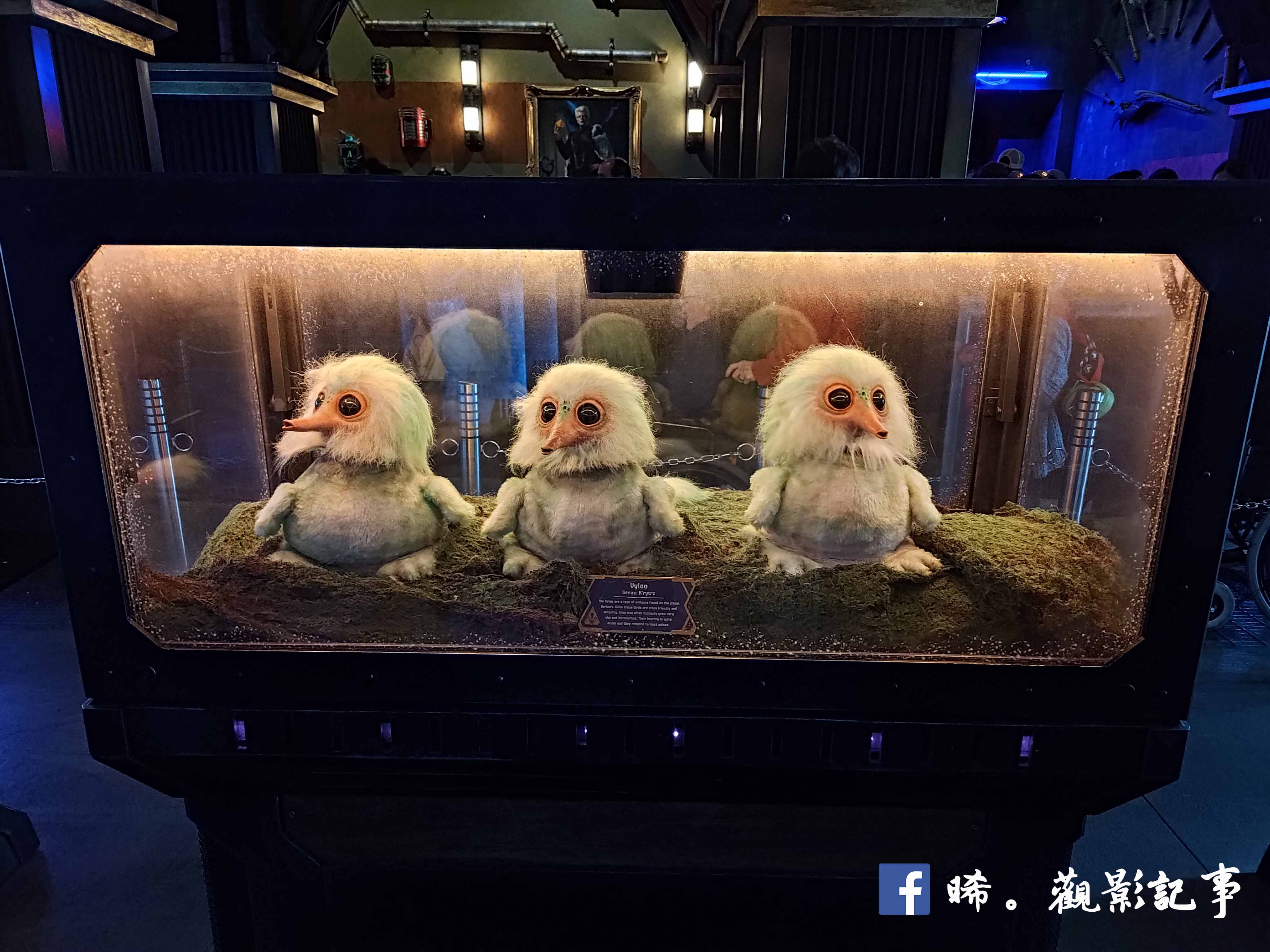 加州迪士尼樂園 冒險樂園