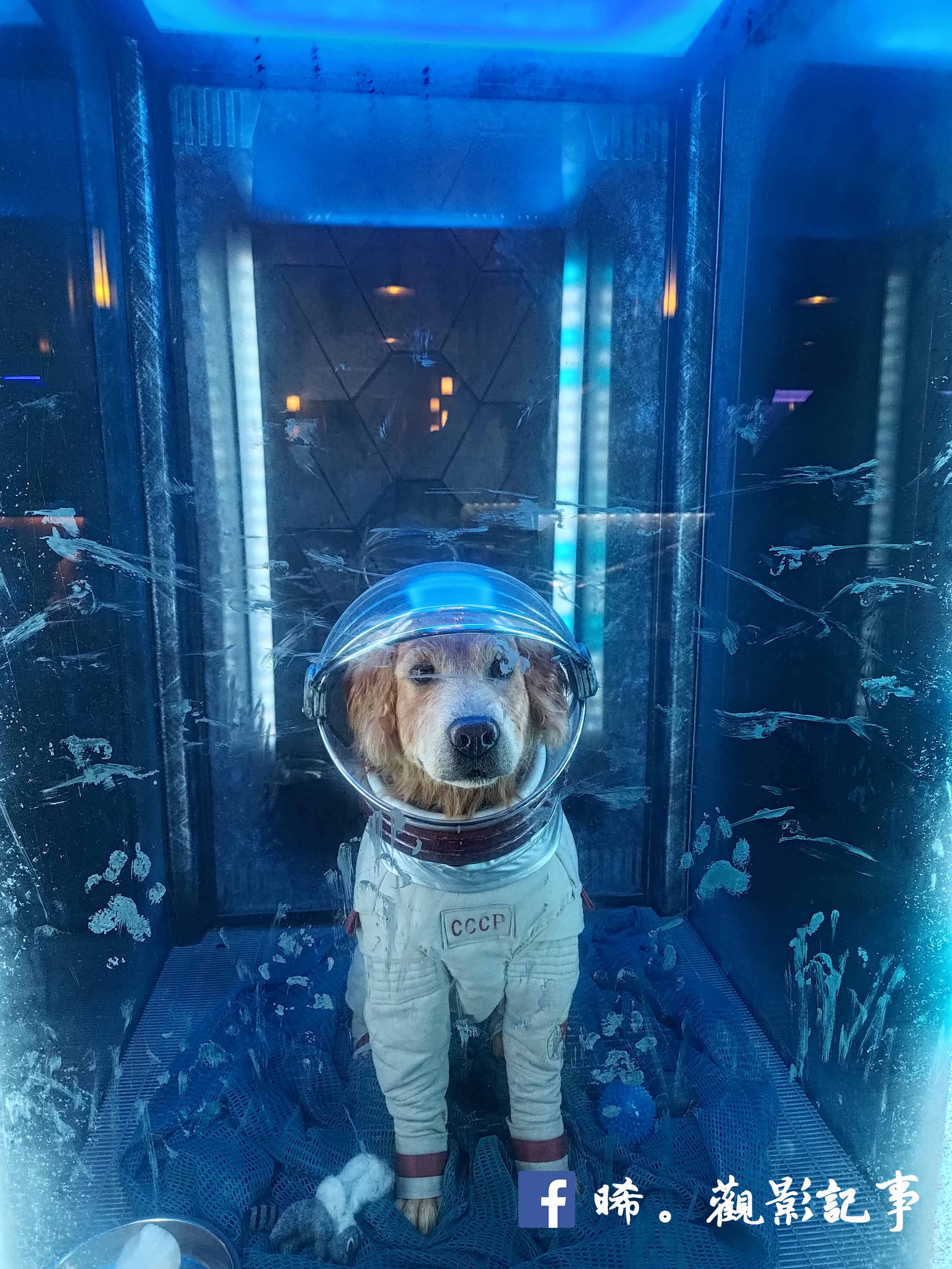 Disney California Adventure Park 攻略